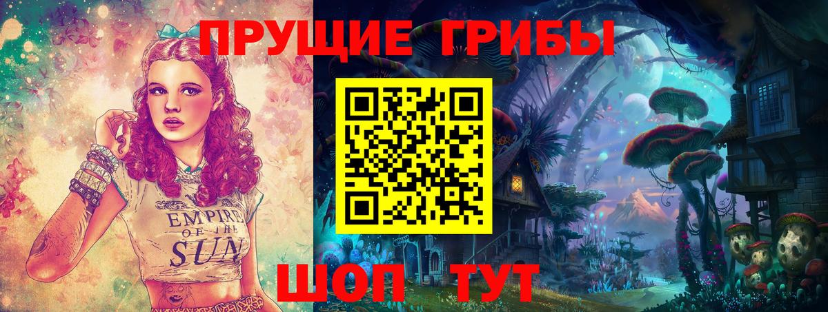 Псилоцибиновые грибы Psilocybine cubensis  Вход с VPN  Алейск 